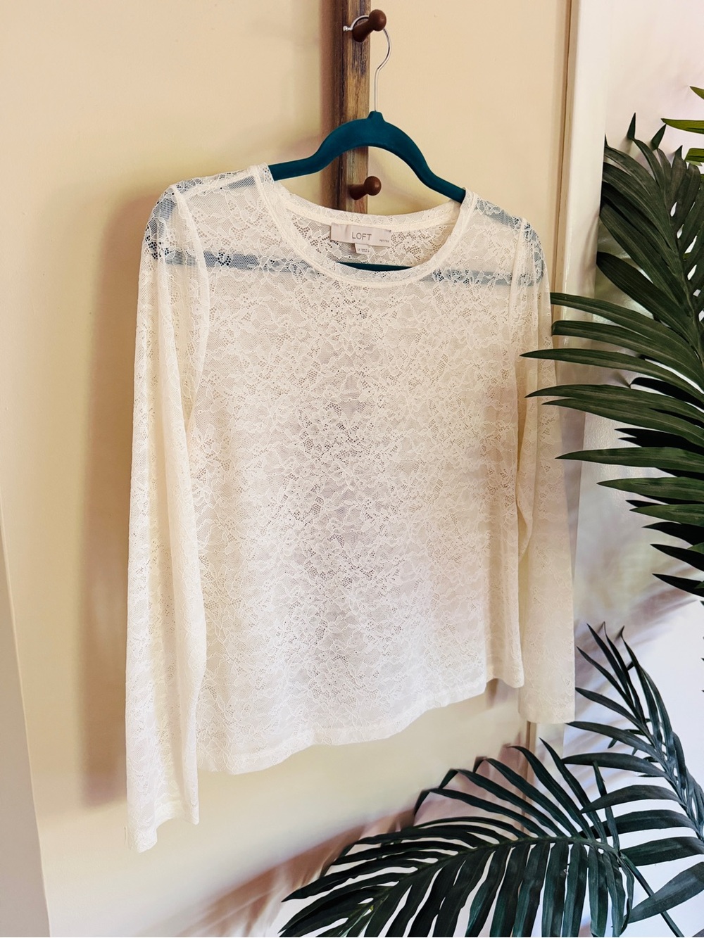 LOFT Ivory Sheer Lace Long-Sleeve Top